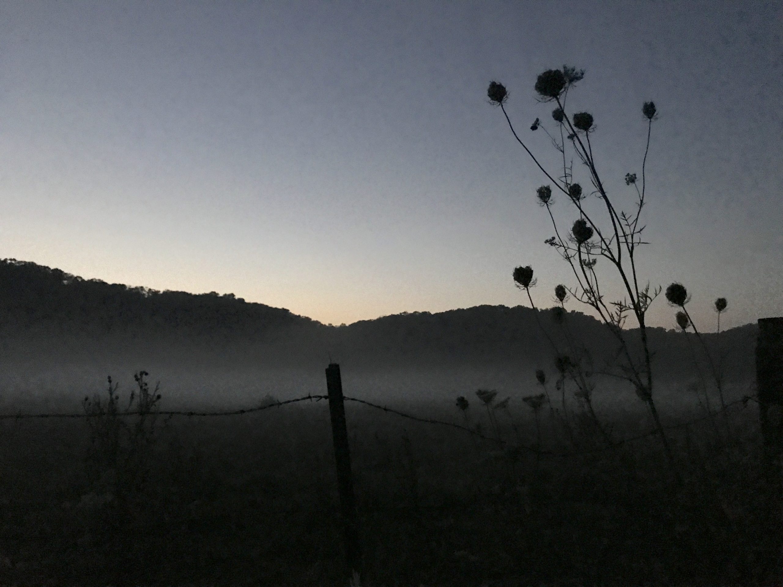 hogback at dusk